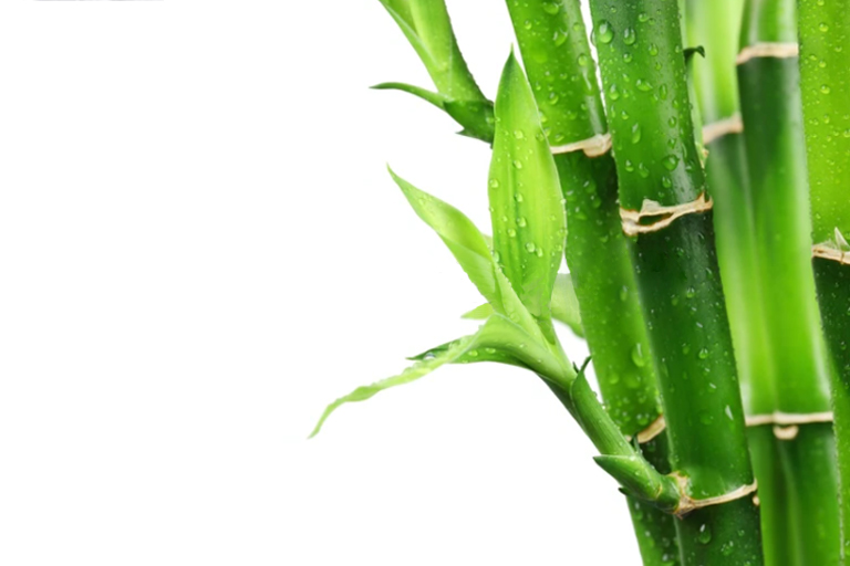 Matelas en fibre de bambou